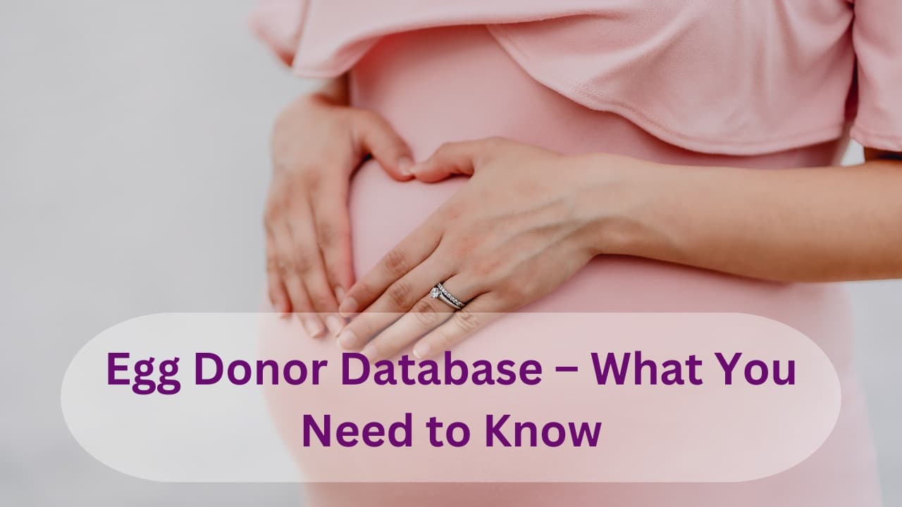 Eiceldonor Database Wat je moet weten