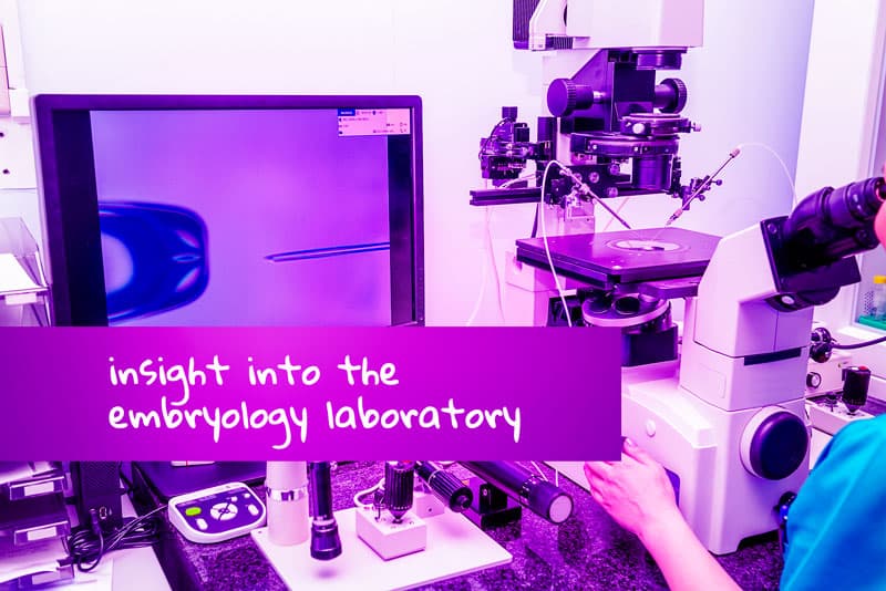 IVF-embryo-ontwikkeling – inzicht in het embryologielab